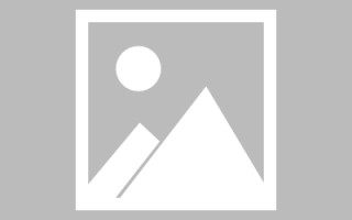 松滋玉兔网站制作头像app（玉兔素材抠图）